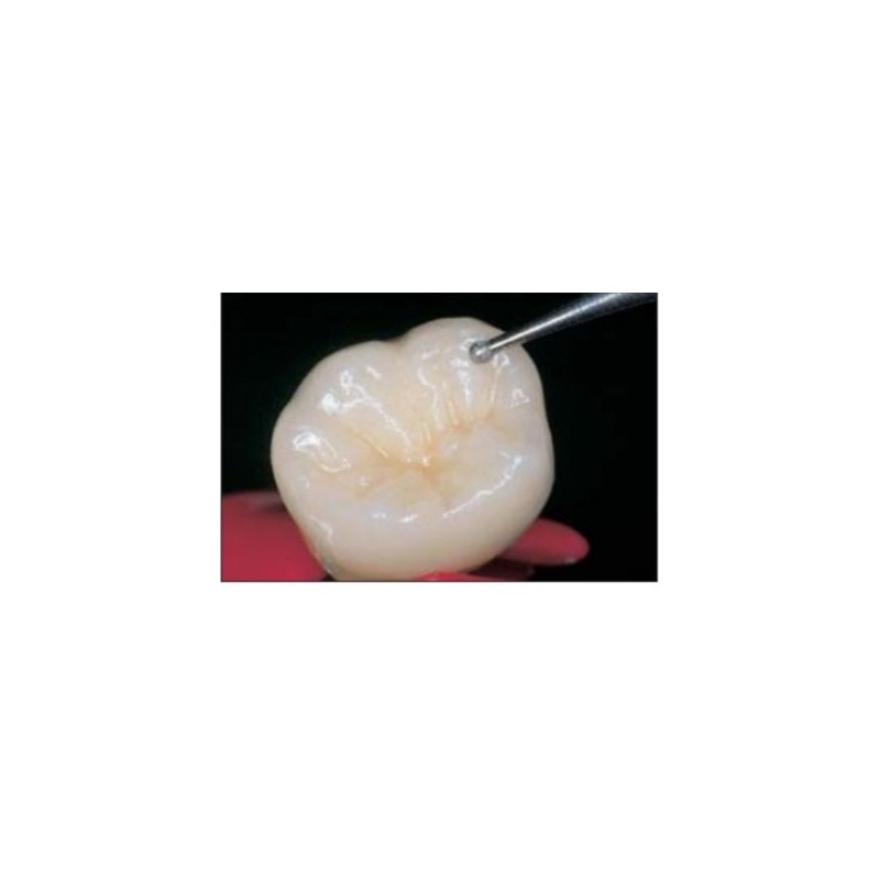 Fresa de Diamante NTI Esférica