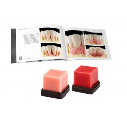 GEO Expert Gingiva A. Bruguera