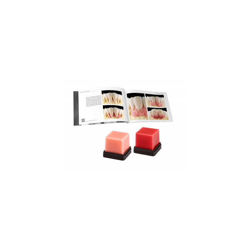 GEO Expert Gingiva A. Bruguera
