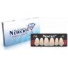 Dientes Newcryl